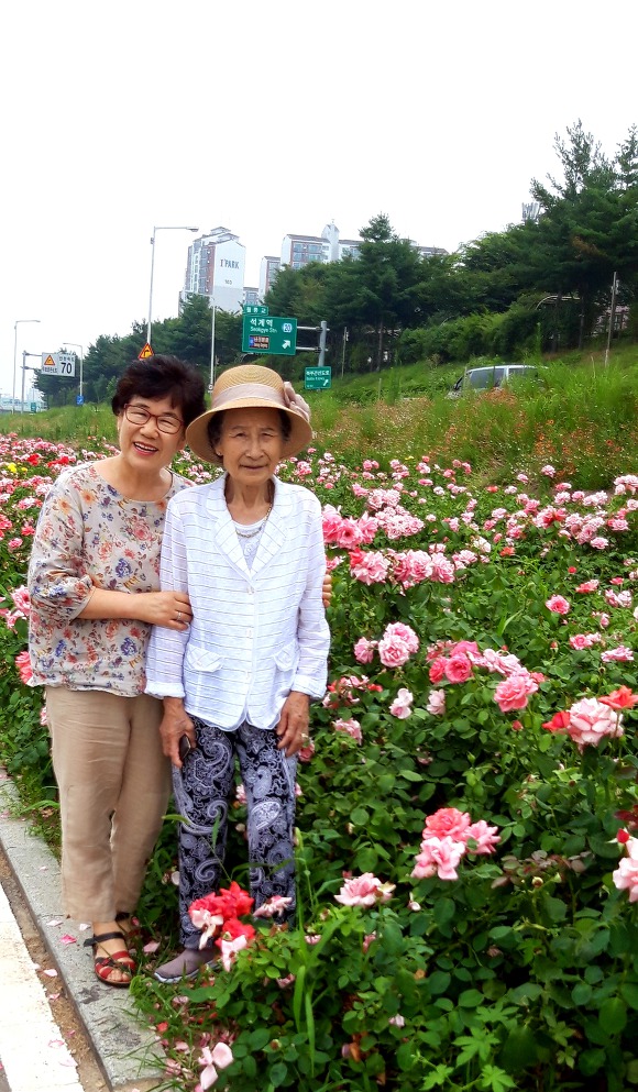 일상 이미지