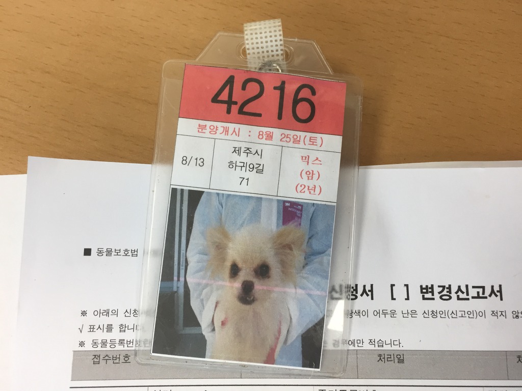 째깐이 이미지
