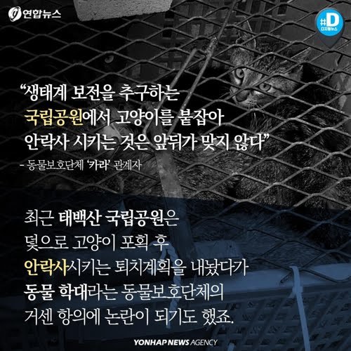 북한산을 접수한 고양이들...jpg | 인스티즈