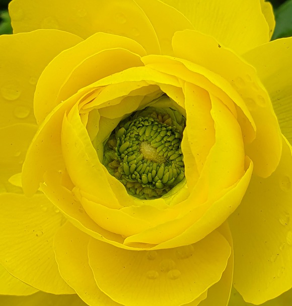 99FD9A335CB2B59118CCF5