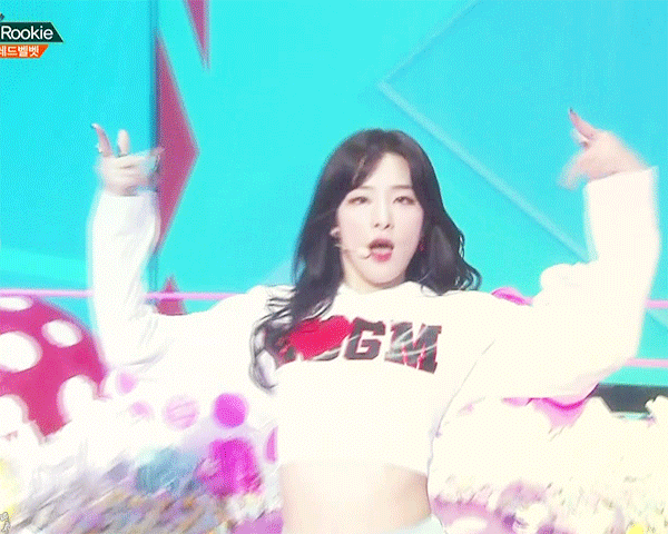 레드벨벳 슬기 | 인스티즈